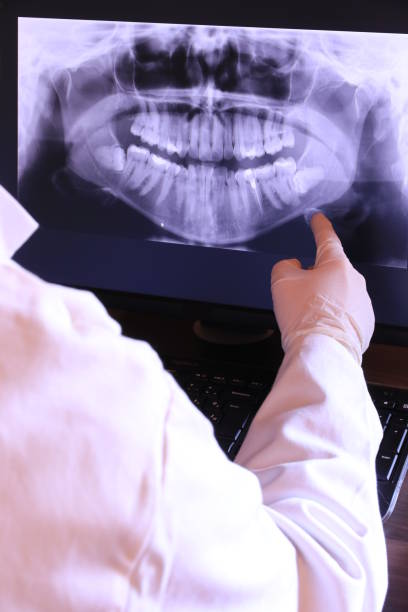 Best Emergency X-Rays and Diagnostics in Calverton, NY